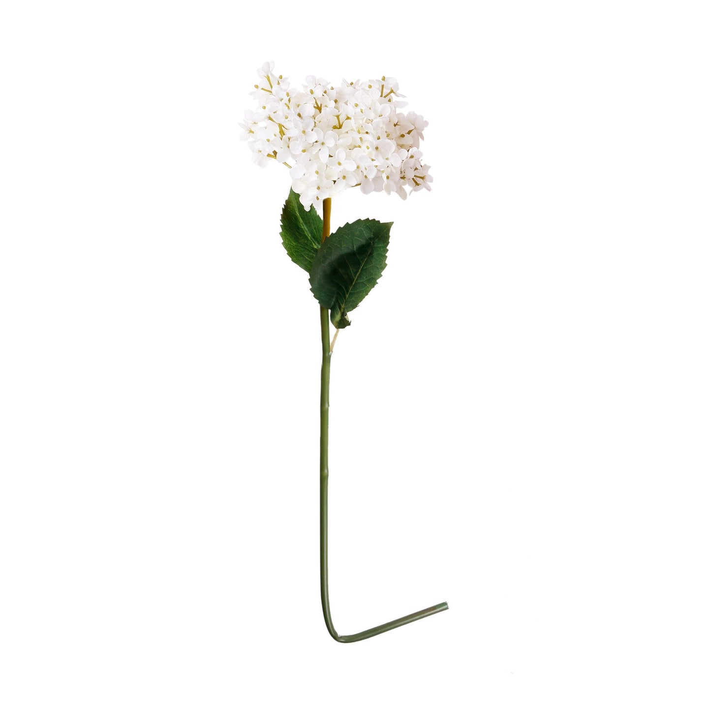 Hydrangea White Flower 1984-WHIT