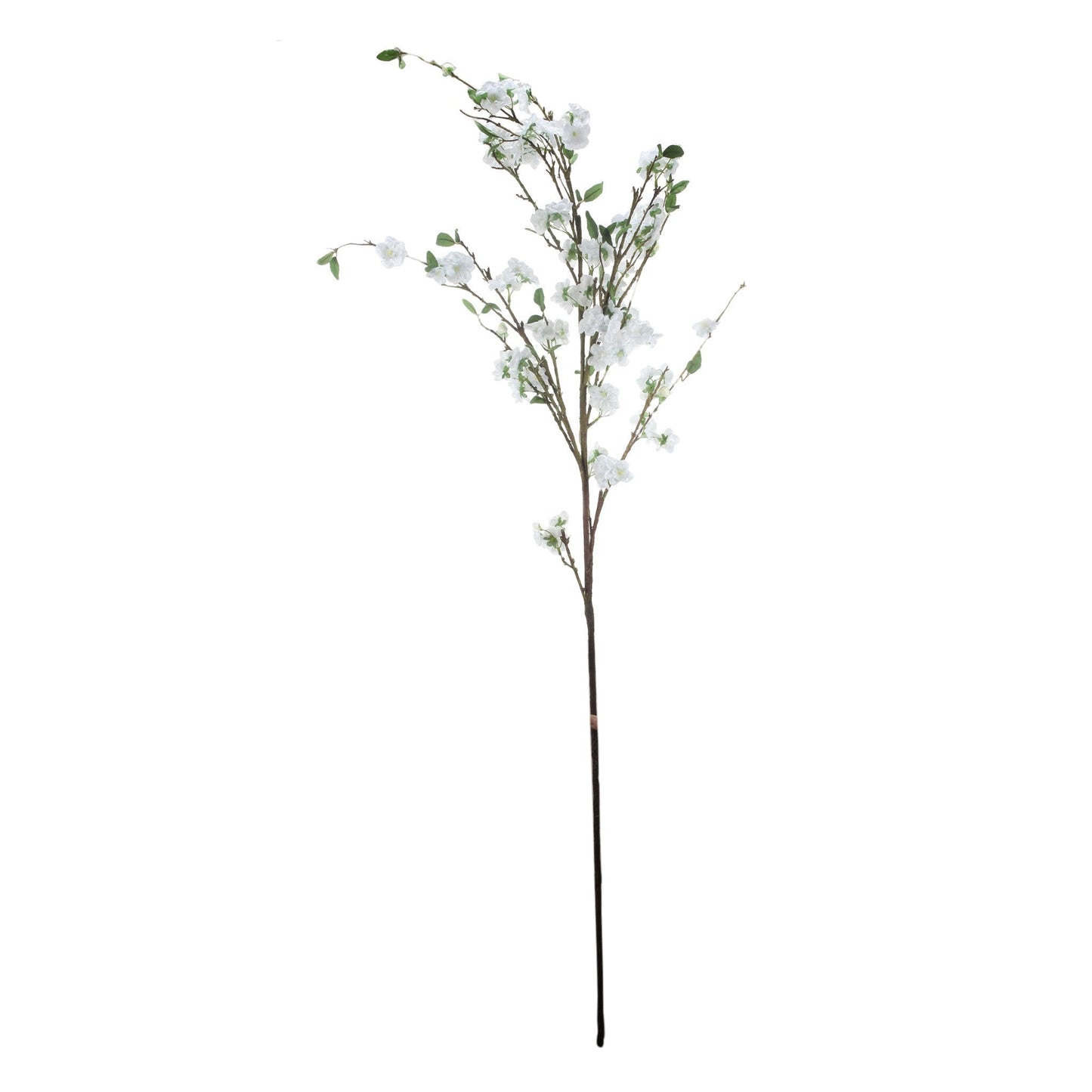 Apple Tree Roses 29637
