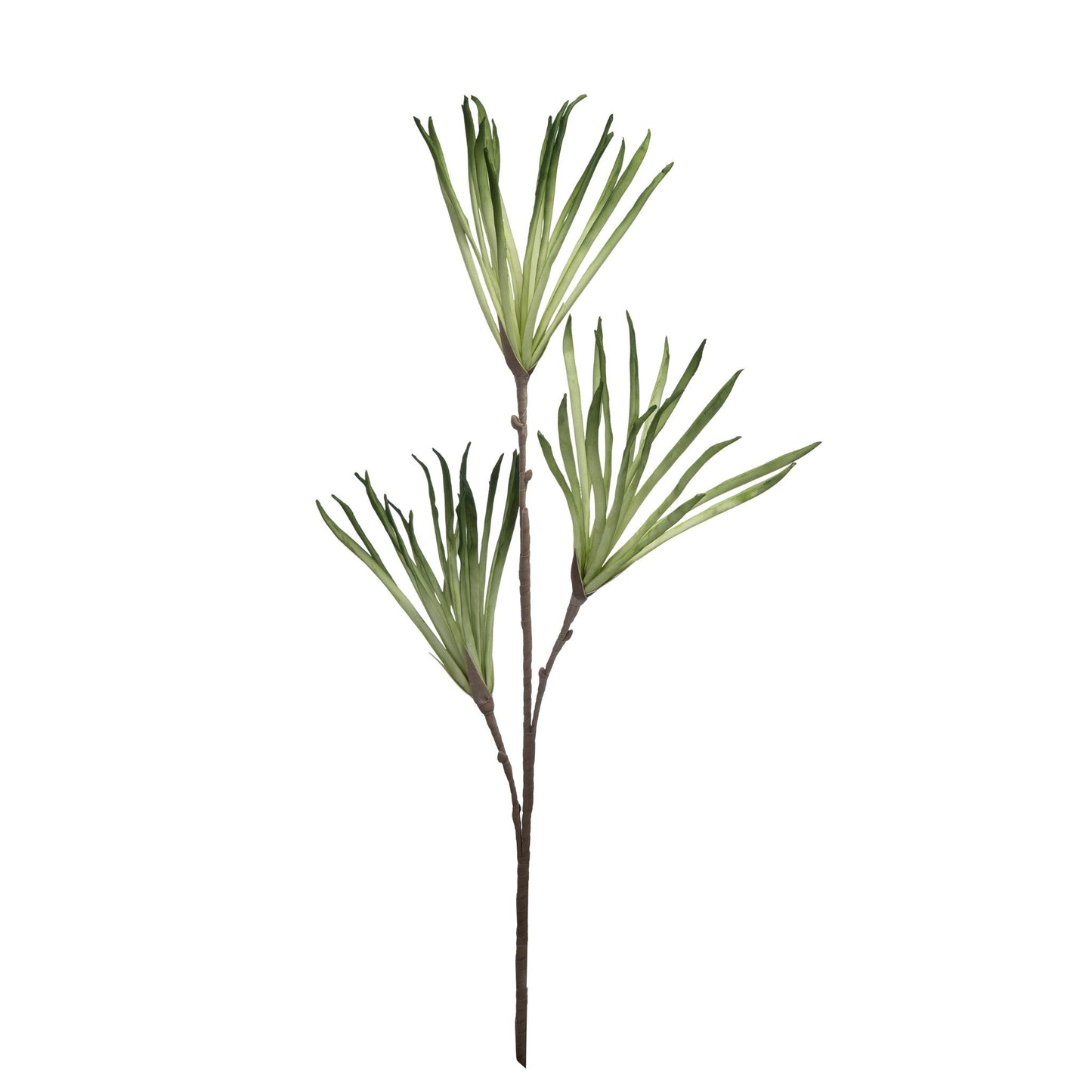 Eva Dracaena Tree 420016-AB