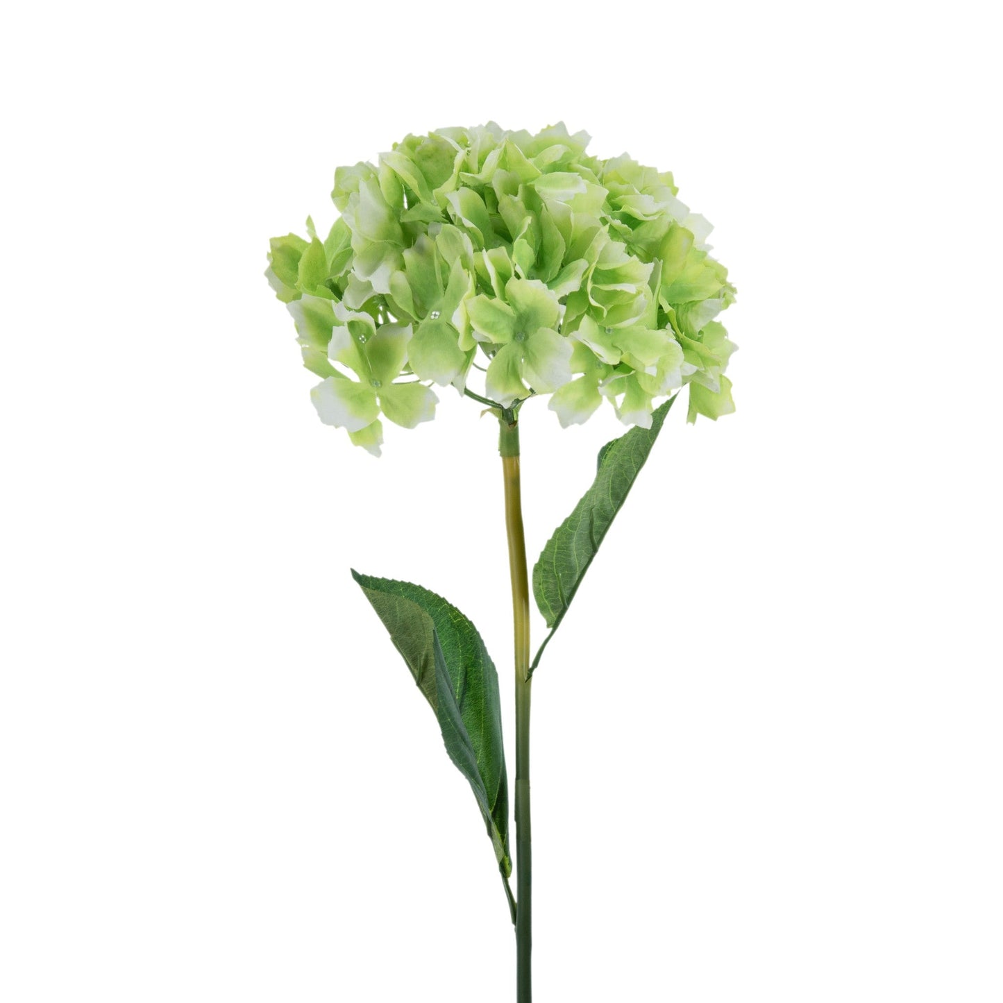 Hydrangea Bouquet 58154-GREE