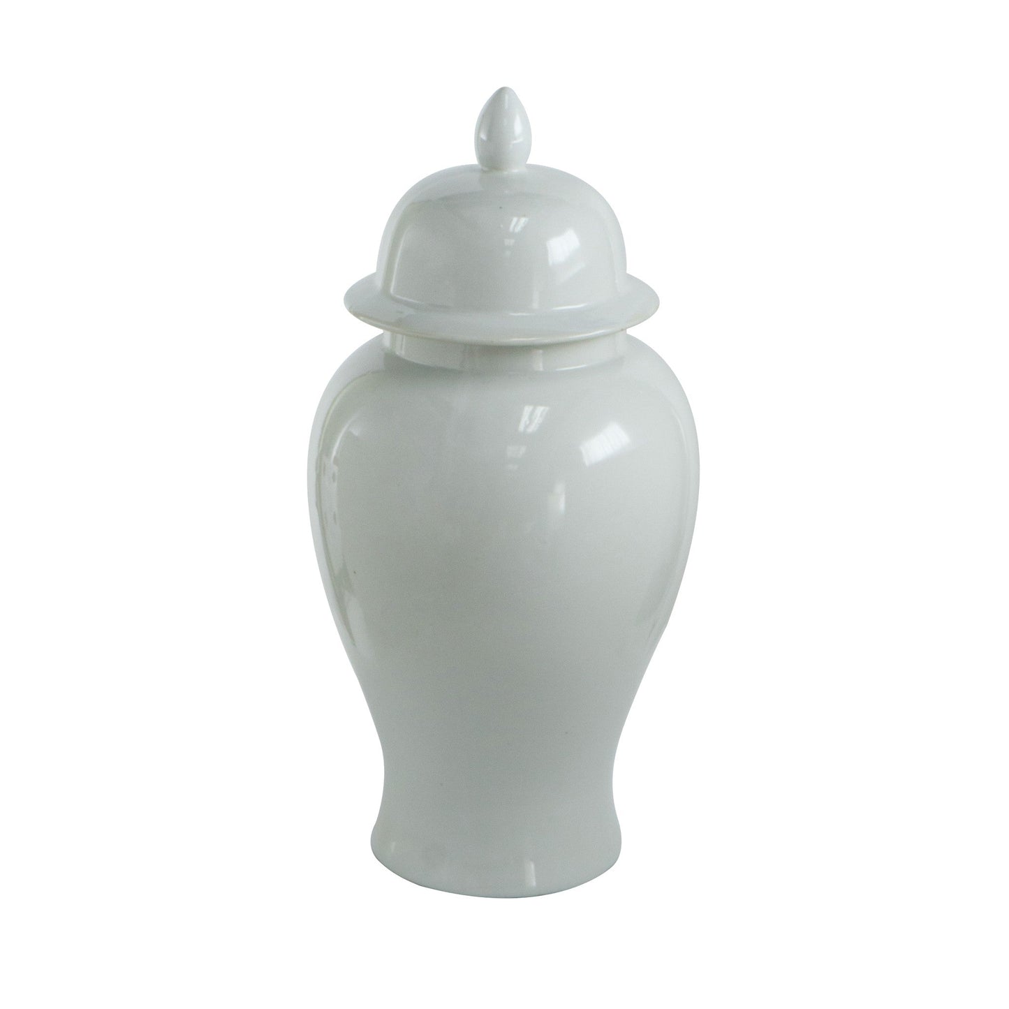 Large Size Lid AV69774