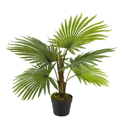 Palm tree in a pot SA11853-AB