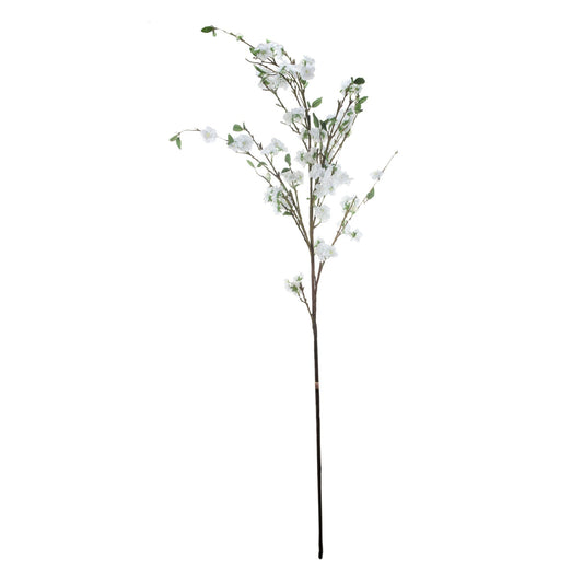 Apple Tree Roses 29637