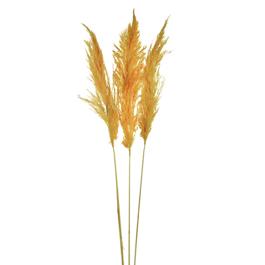 Dried Pampas Flower Rose 3 Pieces 411868-ORAN-AB