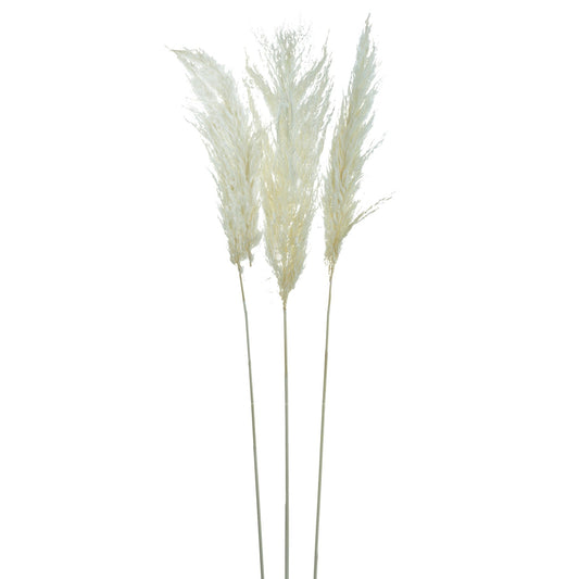 Dried Pampas Flower Rose 3 Pieces 411868-WHIT-AB