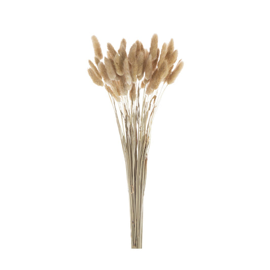 Dried Bunny Tail Flower Bouquet 50 Pcs 411878-NATU-AB