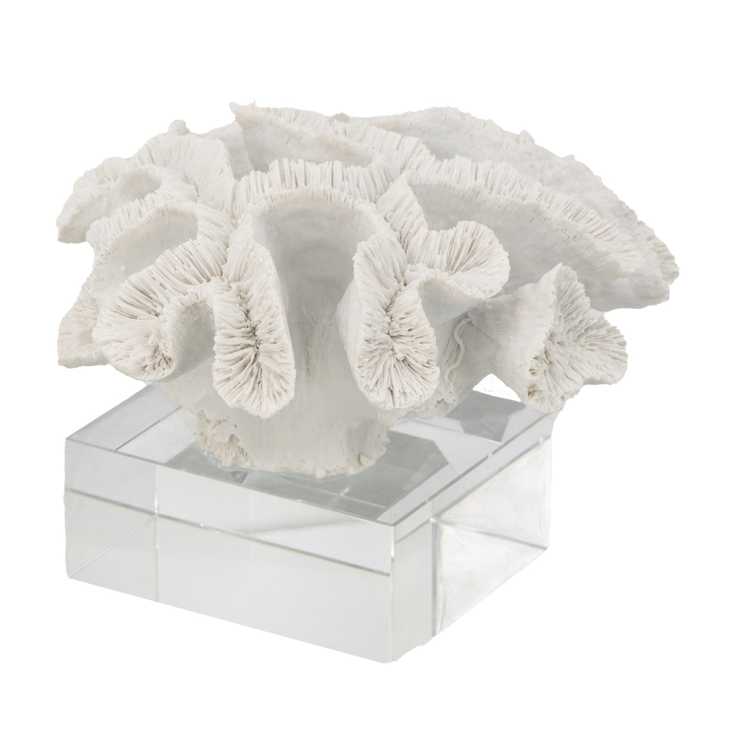 Coral accessory with white glass base 70301