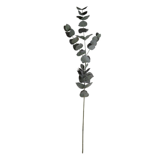 Green Eucalyptus Stem AA29585
